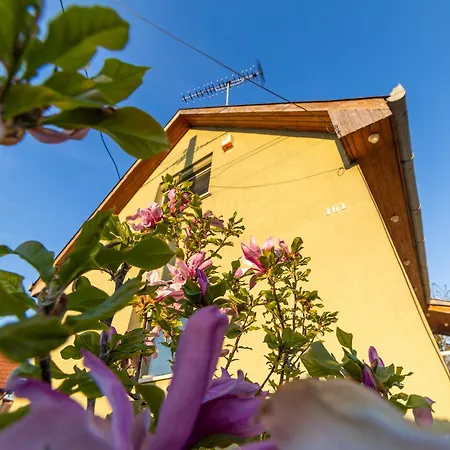 Dunai Menedék Apartman